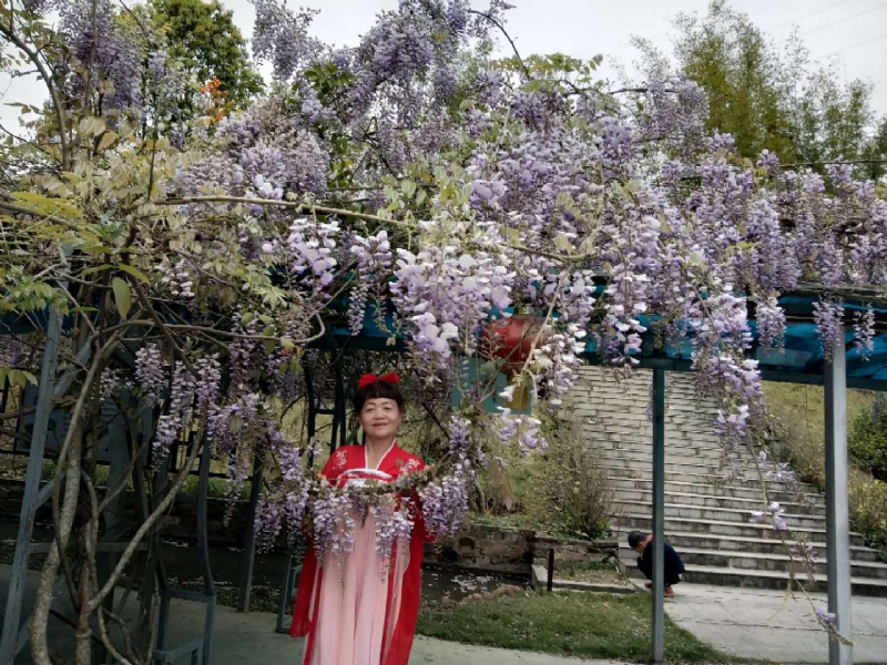 莉莉的第一张照片--马尾征婚网
